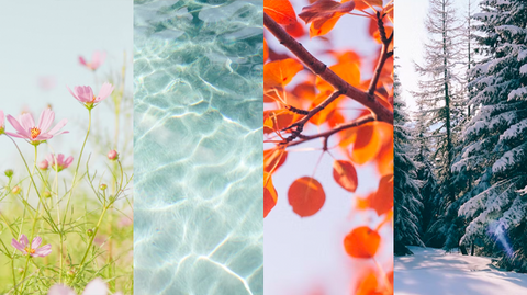 The Menstrual Phases as our Inner Seasons
