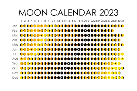 Moon Phase Calendar for 2023